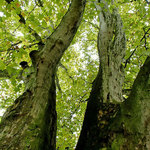 3-trida-zs-bartosovice-25